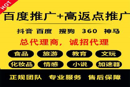 SEM托管服务，成功案例深度分析